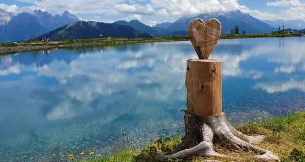 Sportchalet-Viehhofen-Wandelarrangement-scaled